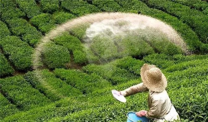 NϵķЧڶ