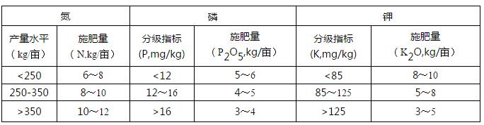 2020껨 y䷽ʩʼgָҊ